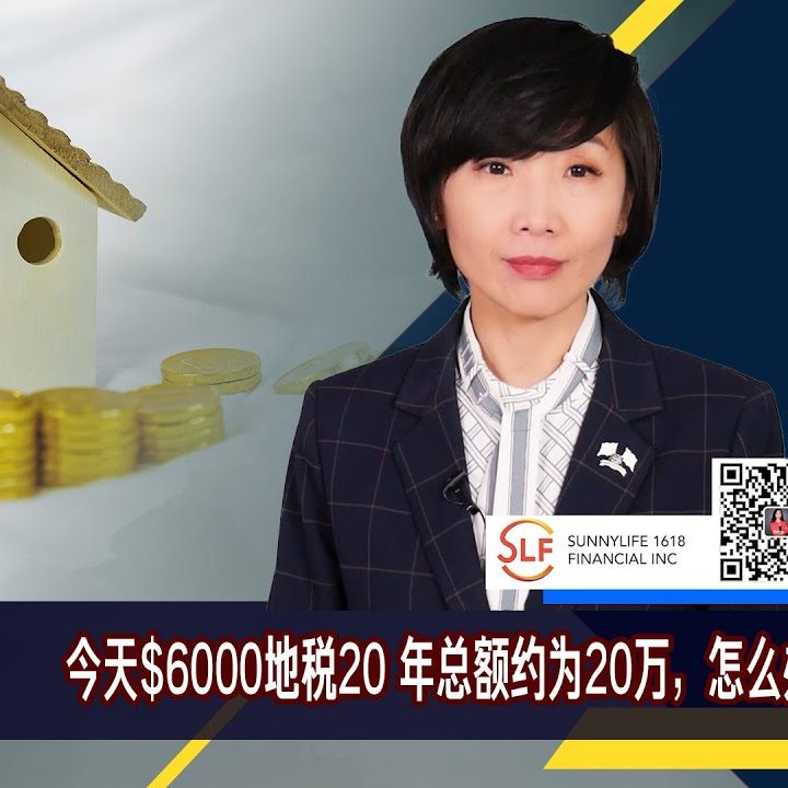 温哥华地税延交